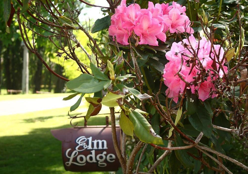 Elm Lodge Bright Extérieur photo